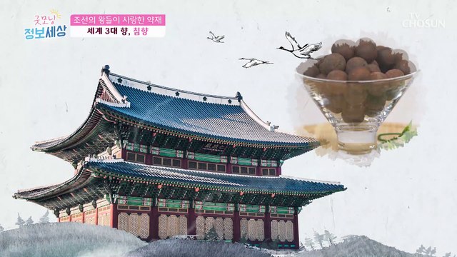 귀한 보약 『침향』 혈관 건강 잡아주는 특급 비책 TV CHOSUN 220429 방송