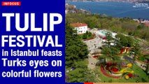 Tulip Festival in Istanbul feasts Turks' eyes on colorful flowers | The Nation