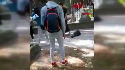 Liselilerin kavgasını çekirdek yiyerek izlediler!