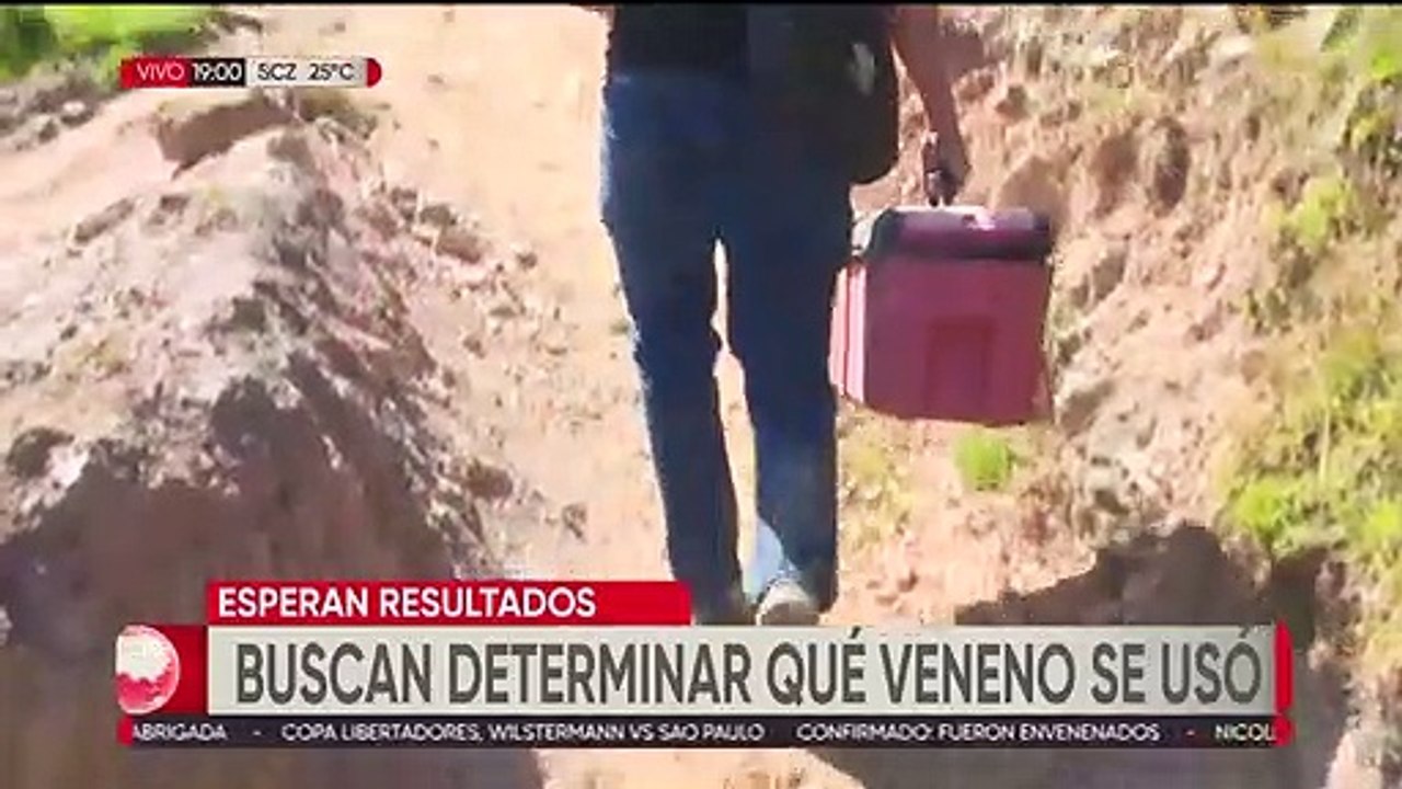 Doble Infanticidio: Idif revela que el veneno ingerido por dos niños destrozó sus órganos internos