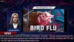 Colorado reports first human case of H5 bird flu in US in poultry worker - 1breakingnews.com