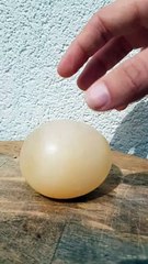 L'oeuf rebondissant : le résultat du DIY