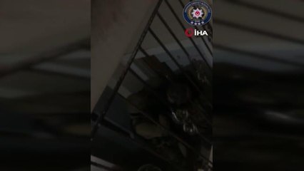 Ardahan'da DEAŞ operasyonu: 4 şüpheli tutuklandı