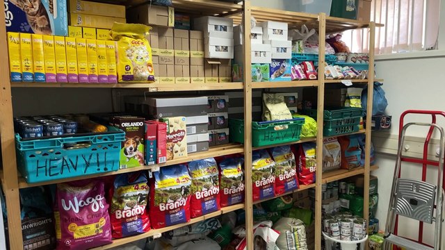 Blue Cross charity says demand for pet food bank has increased because of cost of living