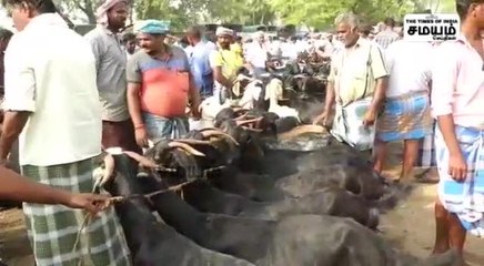 ரம்ஜான் பண்டிகை; தூள் கிளப்பிய ஆடு விற்பனை!