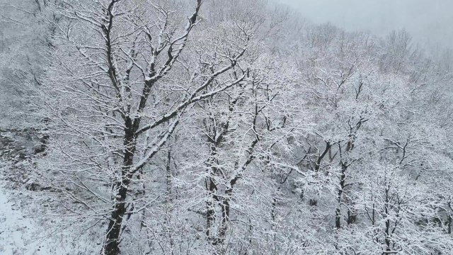 입하 앞둔 4월 끝자락...다시 눈 속에 파묻힌 강원 산간 / YTN