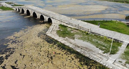 Büyükçekmece Gölü’nde yosun istilası!