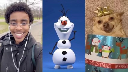 TikToks That Made Me Smile For 11 Minutes!