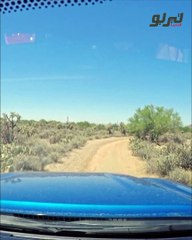 كيف تؤثر حفر الطريق على سيارتك وكيفية تجنبها