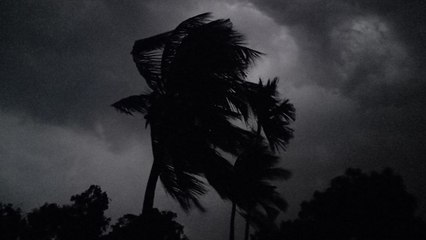 কালবৈশাখী দাপট শুরু বাংলায়! |Oneindia Bengali