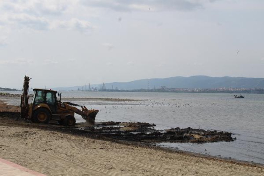 İZMİT KÖRFEZİ'NDE YİNE GÜBRE KİRLİLİĞİ