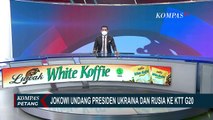 Jokowi Undang Presiden Ukraina dan Presiden Rusia ke KTT G20, Ternyata Ini Alasannya!