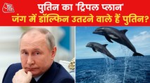 Dolphins are Russia's new secret weapon in Ukraine war