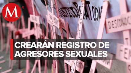 Crearán registro de agresores sexuales, propuesta del CONAVIM e Inmujeres