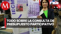 Esto tienes que saber sobre la consulta del presupuesto participativo