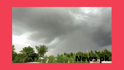 Birds channel,weather News