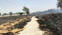 कब्रिस्तान में लगी आग, सैकड़ों पौधे जलकर हुए राख