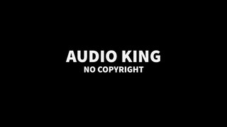 Audio King - Khamoshiyan Retuned
