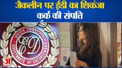 ED Action Jacqueline Fernandez:जैकलीन के खिलाफ वसूली केस में ईडी का बड़ा एक्शन