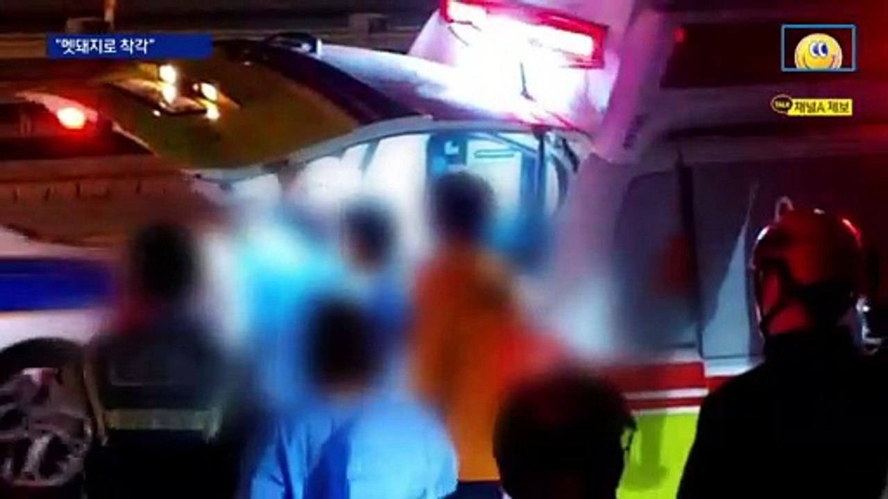 “멧돼지로 착각”…엽총 맞은 70대 택시기사 숨져