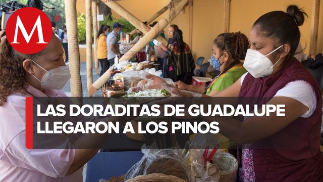 María Guadalupe Piña vende sus Doraditas en los Pinos tras viralizarse en el AIFA.
