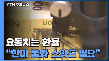 정세 불안에 요동치는 환율..."한미 통화 스왑 필요" / YTN