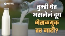 Adulterated Milk | तुम्ही घेत असलेलं दूध भेसळयुक्त तर नाही?  | Sakal Media