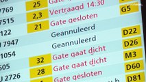 Chaos at Amsterdam's Schiphol airport due to staff shortages and number of passengers