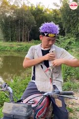 Best Funny Videos  - Try to Not Laugh #152