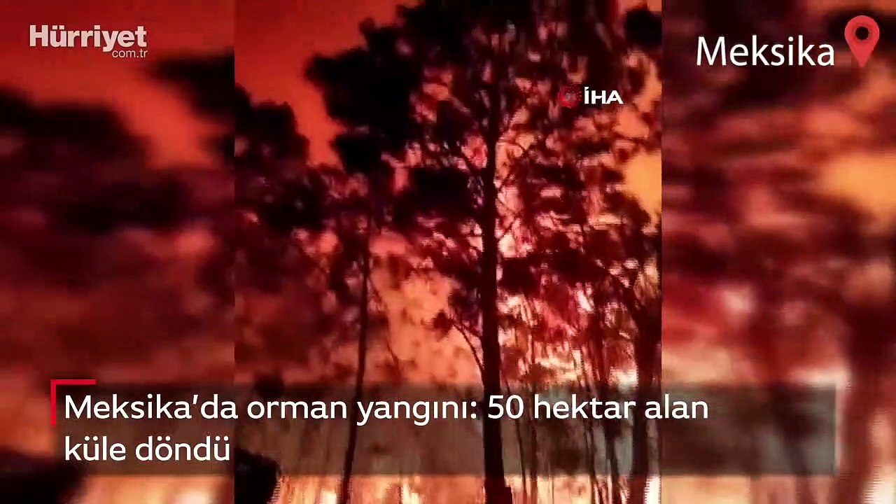 Meksika’da orman yangını: 50 hektar alan küle döndü