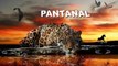 PANTANAL Capítulo 30/04 SEXTA  Resumo Completo da Novela Pantanal Hoje 30 de ABRIL de 2022