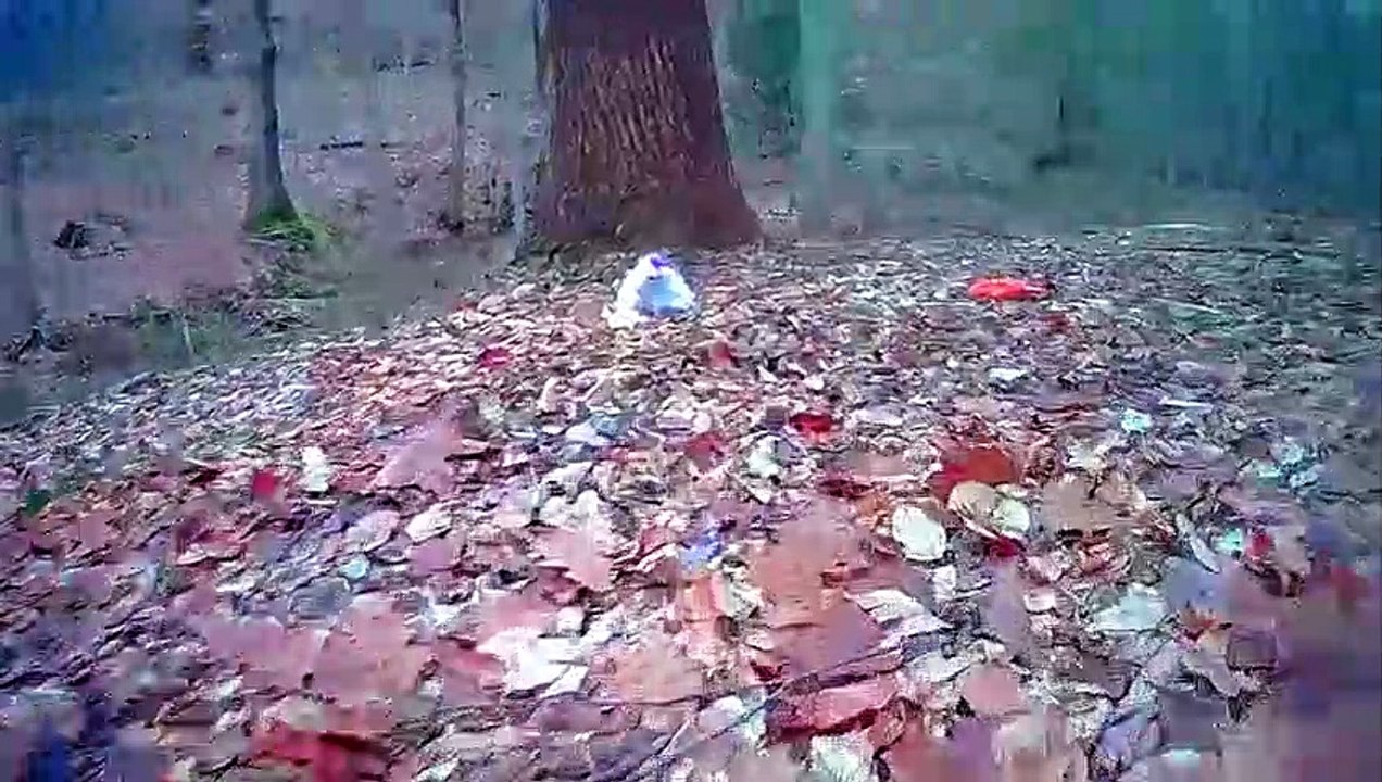 Behind The Scenes Rewind 2021
