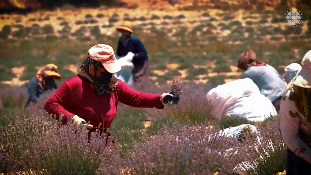 Erdoğan: Tüm işçi kardeşlerimin 1 Mayıs Emek ve Dayanışma Günü'nü gönülden tebrik ediyorum