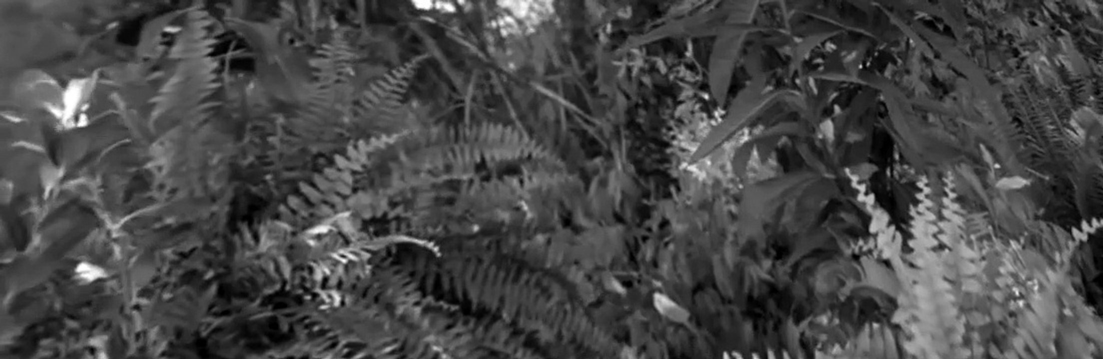 Soul City S01 E01