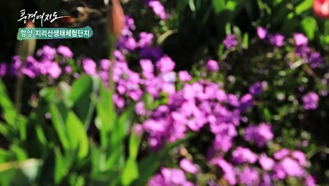 [풍경여지도] 지리산 자락에 깃든 향기 - 경남 함양 2부