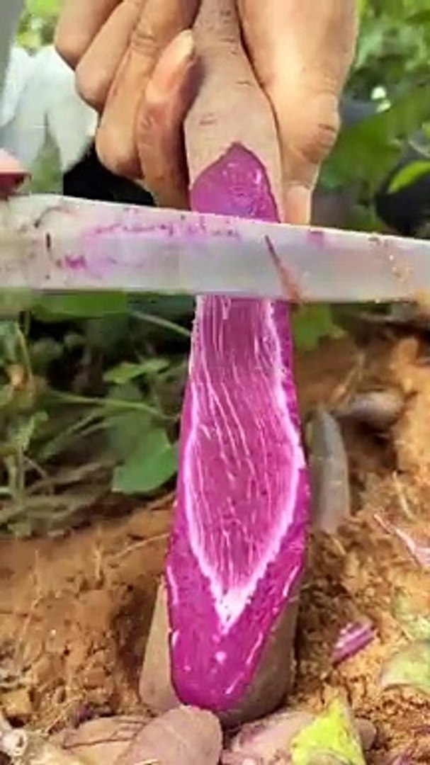 ODDLY SATISFYING ASMR #shorts #asmr #oddly #satisfying