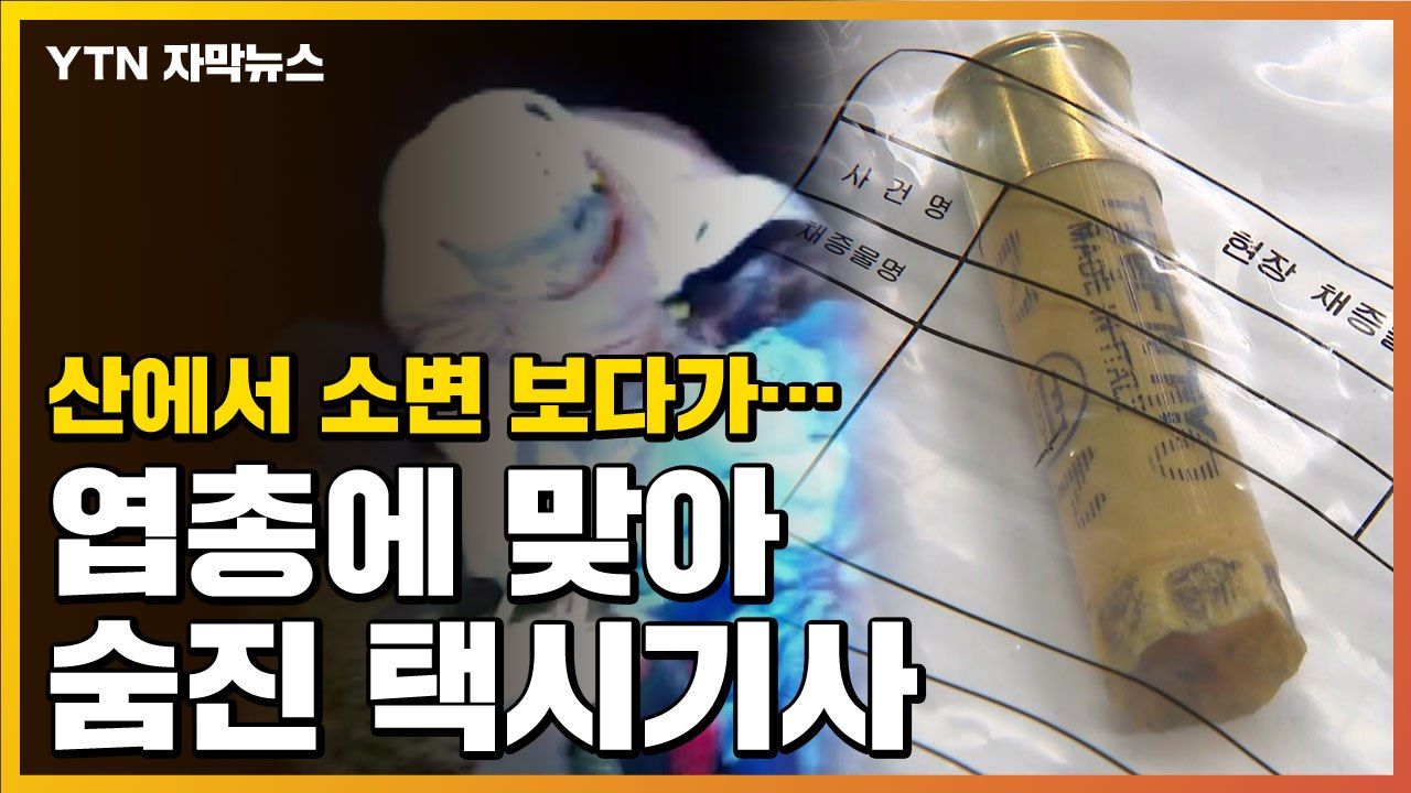 [자막뉴스] 총 맞아 숨진 택시기사, 인적 드문 산기슭에선 무슨 일이... / YTN