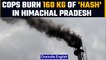 Himachal Pradesh: Cops burn 160 kg of hash worth Rs 16 crore | OneIndia News
