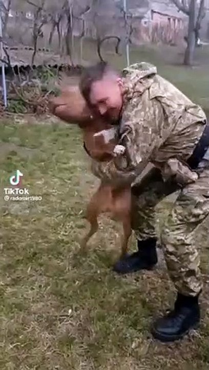 O feliz reencontro de um cão com o dono, um soldado ucraniano