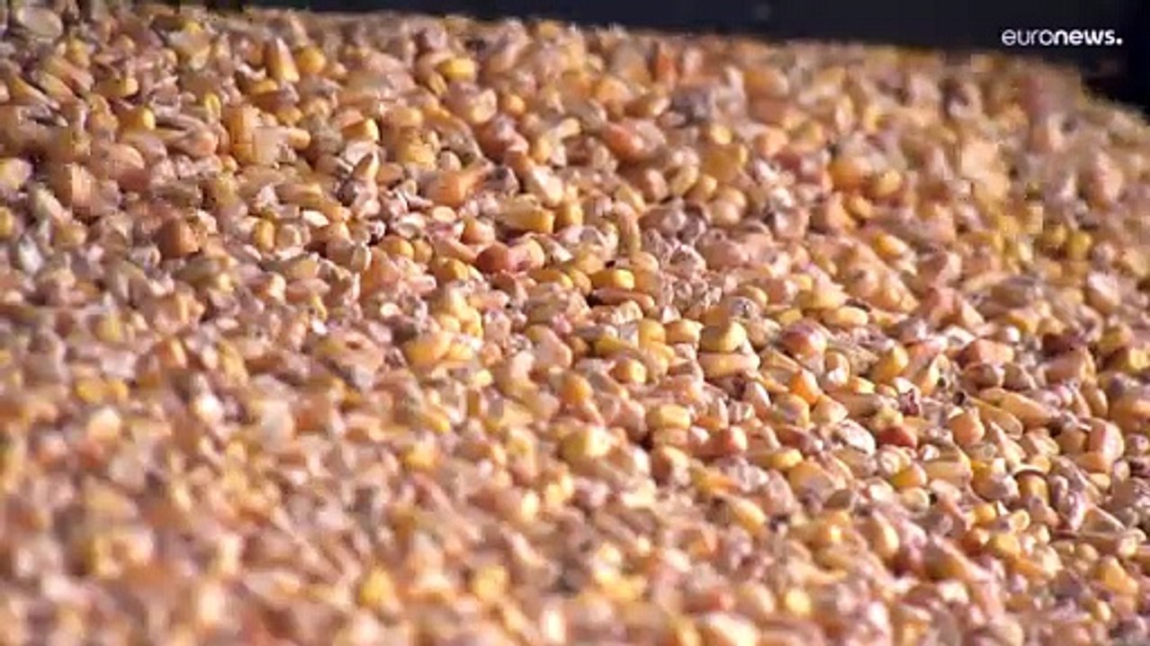 Ucrânia acusa Rússia de estar a roubar "milhares de toneladas" de cereais