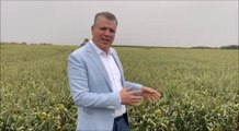 Ayhan Barut: Buğday Taban Fiyatını Hemen Açıklayın