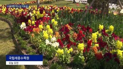 ‘실외 노 마스크’ 기대감에 더 들뜬 봄나들이