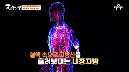 비만이면 고혈압 위험도가 2배나 더 높다? 혈관 질환과 연관이 높은 내장 지방