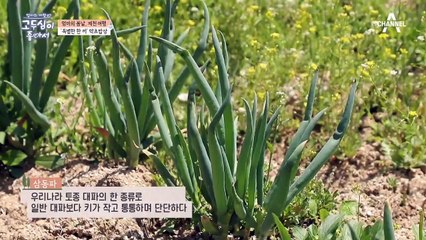 자연과 정성으로 만들어낸 약초 육수, 제천에서 맛본 '특별한 한 끼'