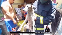 Residential area, nagkasunog; asong na-trap, nailigtas | 24 Oras Weekend