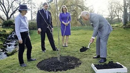 Prince Charles vows to protect historic trees to mark mother's Jubilee