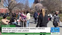 New York’s Illicit Marijuana Market Thrives Ahead of Adult-Use Launch