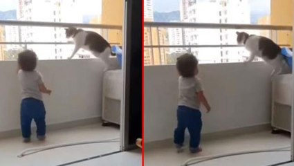 Yürümeye başlayan bebek balkondan sarkmaya çalıştı, kedinin hareketi boğazları düğümledi