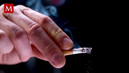 En Florida, joven de 19 años asesina a su madre por pedirle que dejara de fumar