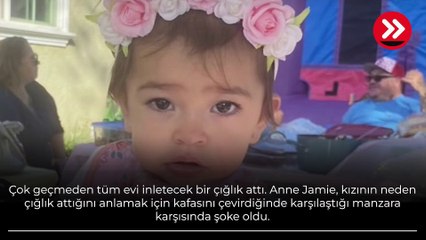 Şoke eden manzarayı böyle anlattı! Ya köpeği öldürecekti ya da bebeği ölecekti...